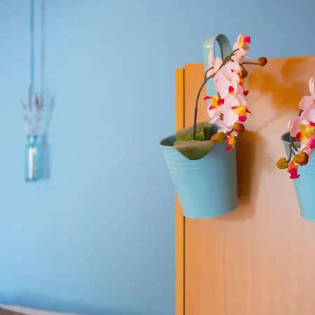 krevet i doručak Viscovery Apartments 3*